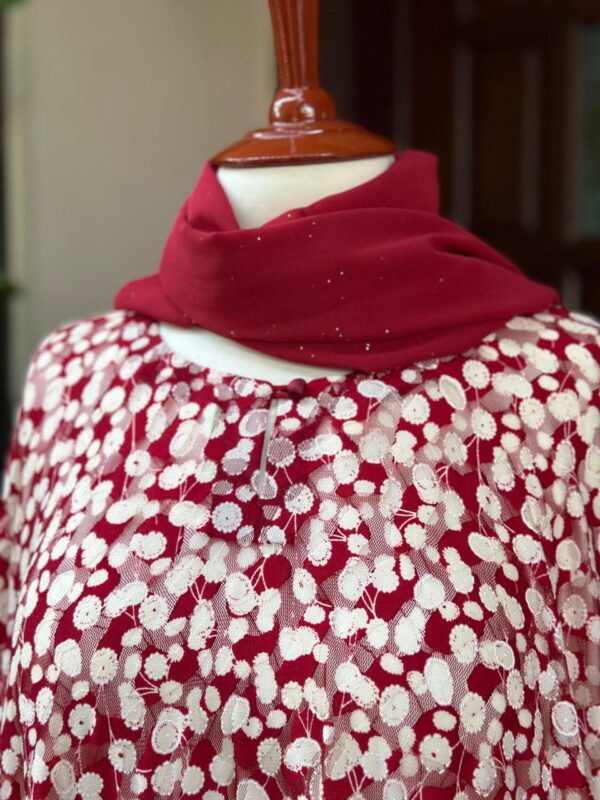 RED net  cape like gown xaa 50 - Image 2