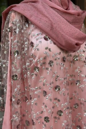 Pink net Gown with same colour inner