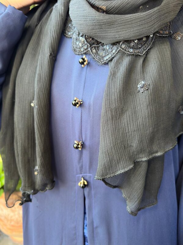 Luxurious velvet pajam with navy blue georgette gown - Image 4